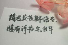 舟山小三调查